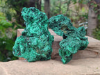 Natural Silky Malachite Specimens x 3 From Kasompe, Congo