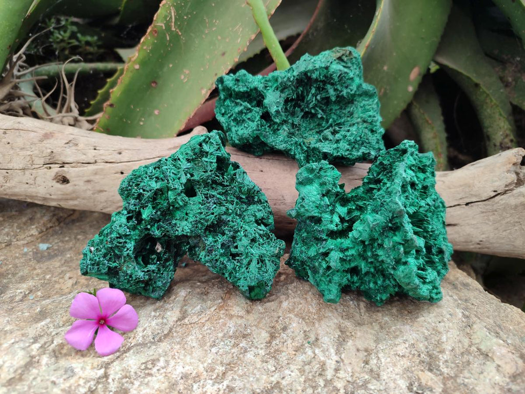Natural Silky Malachite Specimens x 3 From Kasompe, Congo