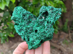 Natural Silky Malachite Specimens x 3 From Kasompe, Congo