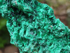 Natural Silky Malachite Specimens x 3 From Kasompe, Congo