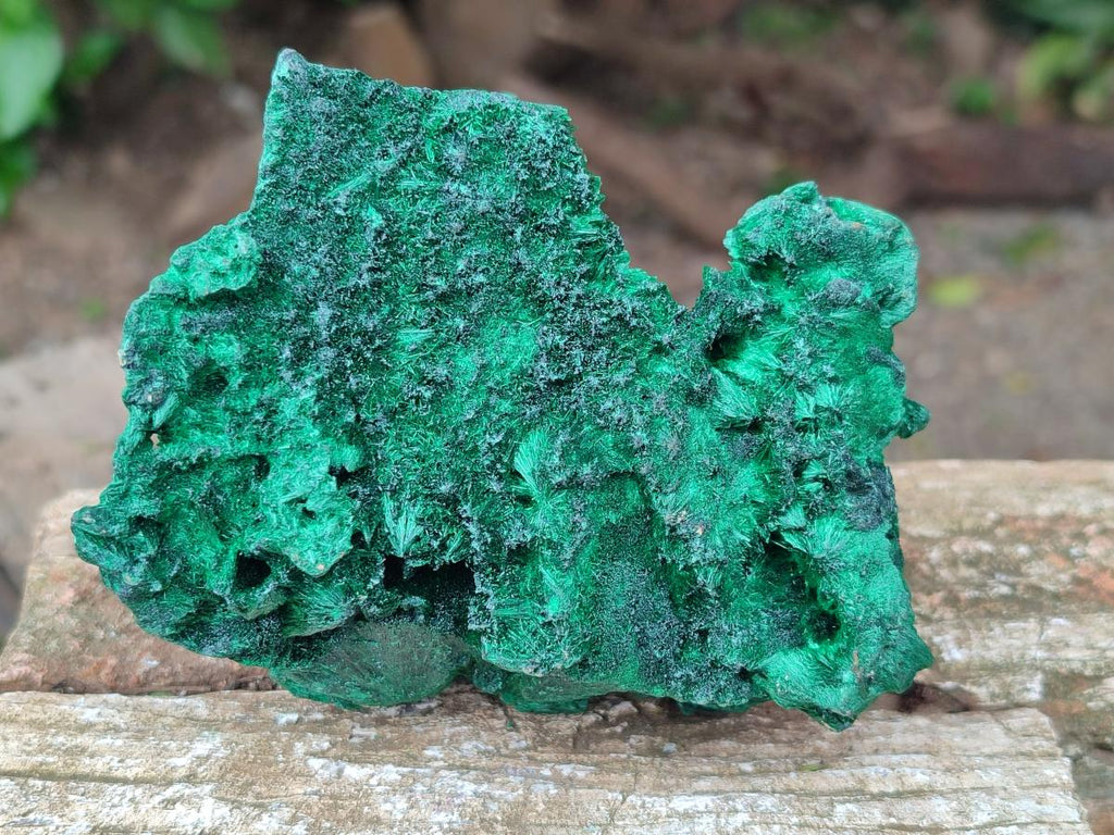 Natural Silky Malachite Specimens x 3 From Kasompe, Congo