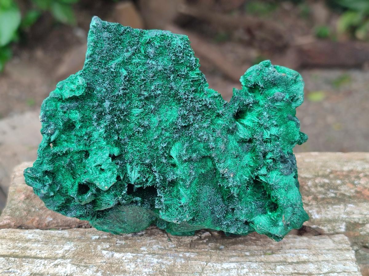 Natural Silky Malachite Specimens x 3 From Kasompe, Congo