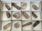 Polished Wispy Smokey Quartz Crystals x 12 From Madagascar