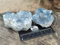 Natural Blue Celestite Cluster Specimens x 28 From Sakoany, Madagascar