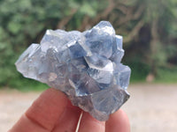 Natural Blue Celestite Cluster Specimens x 28 From Sakoany, Madagascar