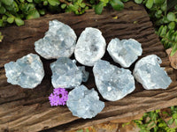 Natural Blue Celestite Cluster Specimens x 28 From Sakoany, Madagascar