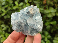 Natural Blue Celestite Cluster Specimens x 28 From Sakoany, Madagascar