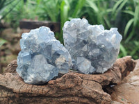 Natural Blue Celestite Cluster Specimens x 28 From Sakoany, Madagascar