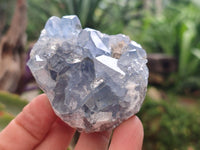 Natural Blue Celestite Cluster Specimens x 28 From Sakoany, Madagascar
