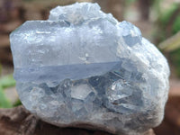 Natural Blue Celestite Cluster Specimens x 28 From Sakoany, Madagascar