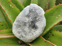 Natural Blue Celestite Cluster Specimens x 28 From Sakoany, Madagascar