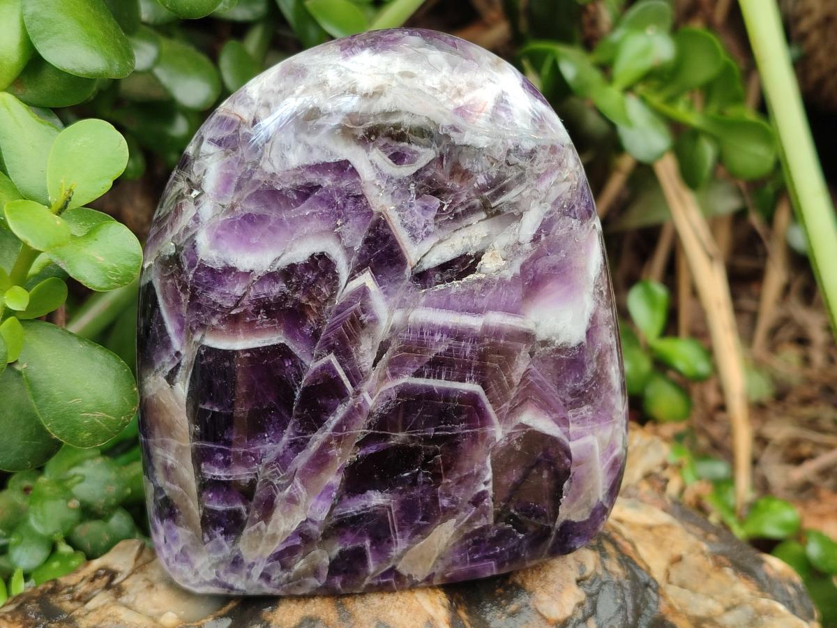 Polished Chevron Amethyst Standing Free Form x 2 From Zambia