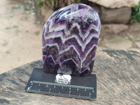Polished Chevron Amethyst Standing Free Form x 2 From Zambia