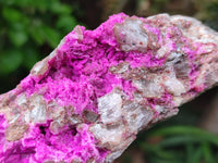 Natural Salrose Cobaltion Dolomite Specimens x 2 From Kakanda, Congo