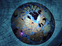 Hand Made Ammonite Coffee Table Coasters x 6 From Mahajanga, Madagascar