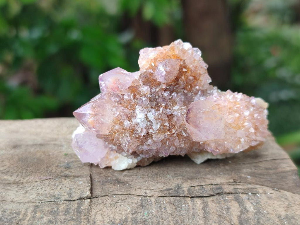 Natural Amethyst and Ametrine Spirit Crystal Clusters x 12 From Boekenhouthoek, South Africa
