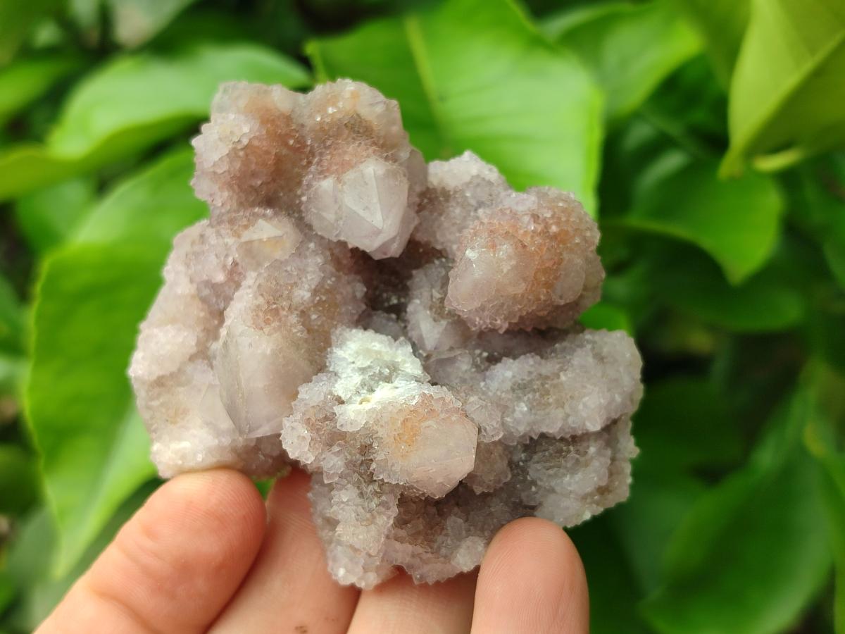 Natural Amethyst and Ametrine Spirit Crystal Clusters x 12 From Boekenhouthoek, South Africa