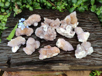 Natural Amethyst and Ametrine Spirit Crystal Clusters x 12 From Boekenhouthoek, South Africa