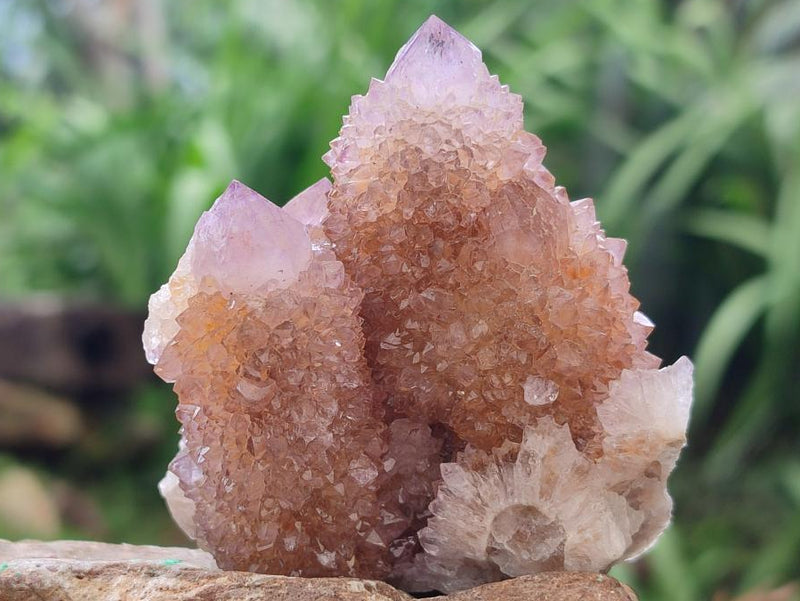 Natural Amethyst and Ametrine Spirit Crystal Clusters x 12 From Boekenhouthoek, South Africa - Toprock Gemstones and Minerals 