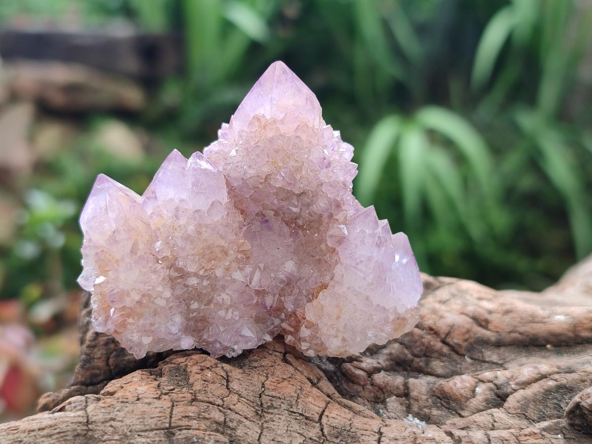 Natural Amethyst and Ametrine Spirit Crystal Clusters x 12 From Boekenhouthoek, South Africa