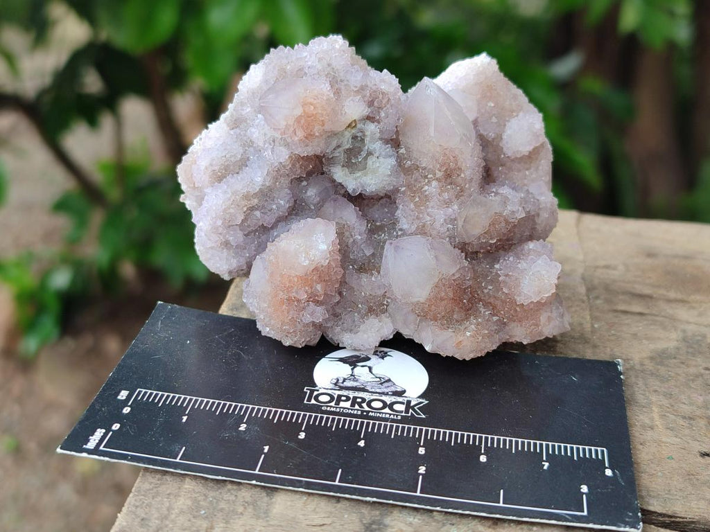 Natural Amethyst and Ametrine Spirit Crystal Clusters x 12 From Boekenhouthoek, South Africa