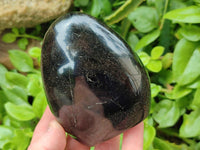 Polished Black Tourmaline Standing Free Forms x 3 From Madagascar