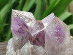 Natural Jacaranda Amethyst Crystal Clusters x 3 From Mumbwa, Zambia