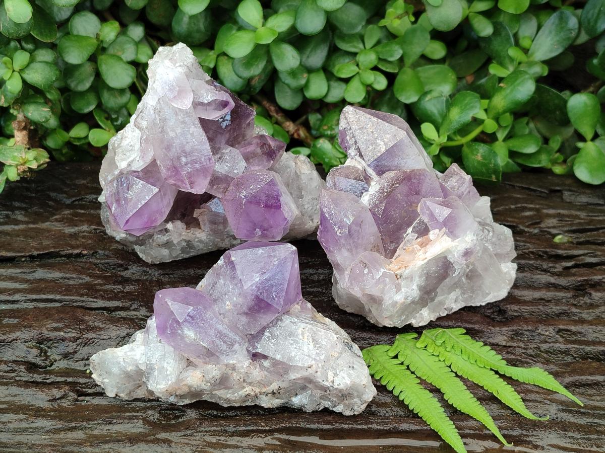 Natural Jacaranda Amethyst Crystal Clusters x 3 From Mumbwa, Zambia