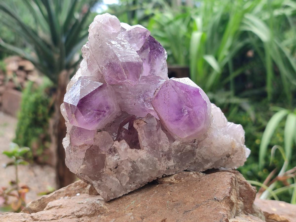 Natural Jacaranda Amethyst Crystal Clusters x 3 From Mumbwa, Zambia