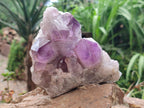 Natural Jacaranda Amethyst Crystal Clusters x 3 From Mumbwa, Zambia