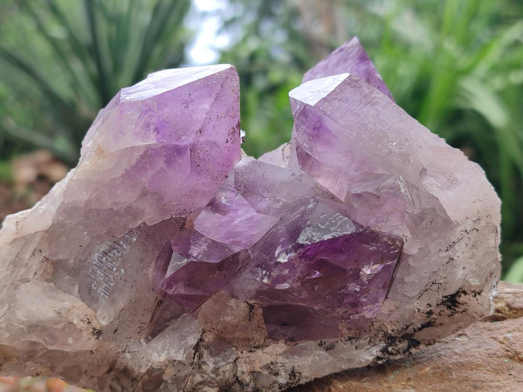Natural Jacaranda Amethyst Crystal Clusters x 3 From Mumbwa, Zambia