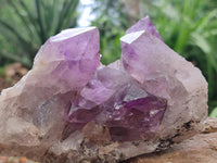 Natural Jacaranda Amethyst Crystal Clusters x 3 From Mumbwa, Zambia