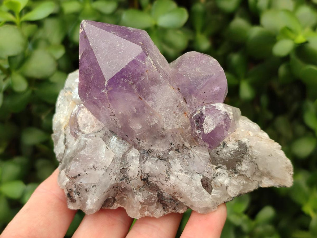 Natural Jacaranda Amethyst Crystal Clusters x 3 From Mumbwa, Zambia