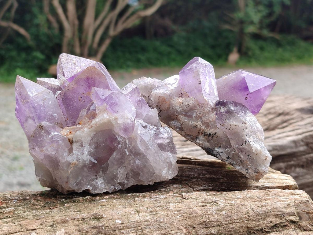 Natural Jacaranda Amethyst Crystal Clusters x 3 From Mumbwa, Zambia