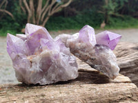 Natural Jacaranda Amethyst Crystal Clusters x 3 From Mumbwa, Zambia