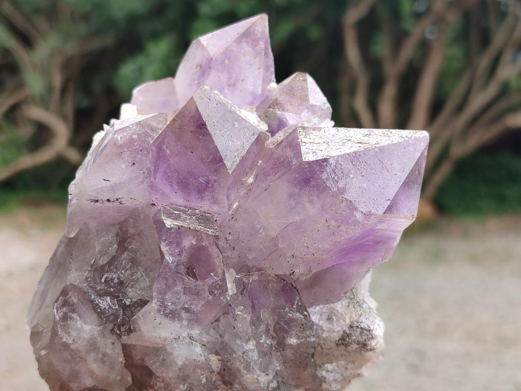Natural Jacaranda Amethyst Crystal Clusters x 3 From Mumbwa, Zambia