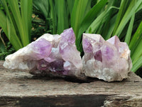 Natural Jacaranda Amethyst Crystal Clusters x 3 From Mumbwa, Zambia