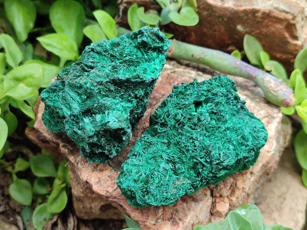 Natural Silky Malachite Specimens x 6 From Kasompe, Congo