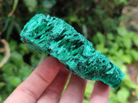 Natural Silky Malachite Specimens x 6 From Kasompe, Congo