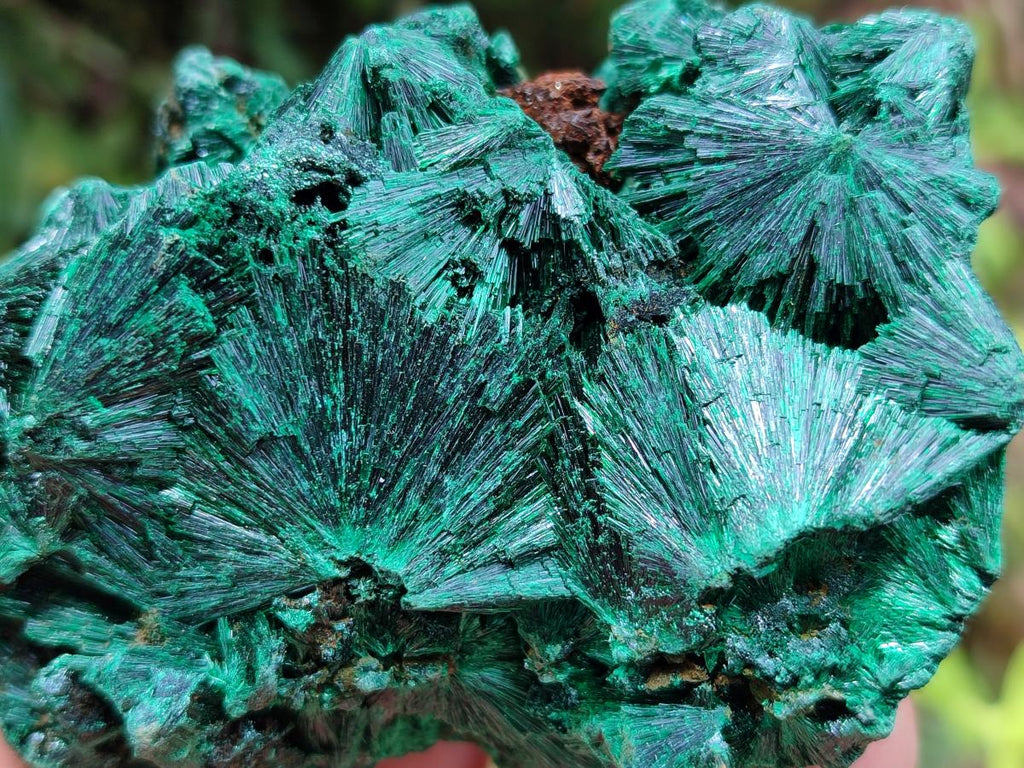 Natural Silky Malachite Specimens x 6 From Kasompe, Congo