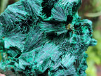 Natural Silky Malachite Specimens x 6 From Kasompe, Congo