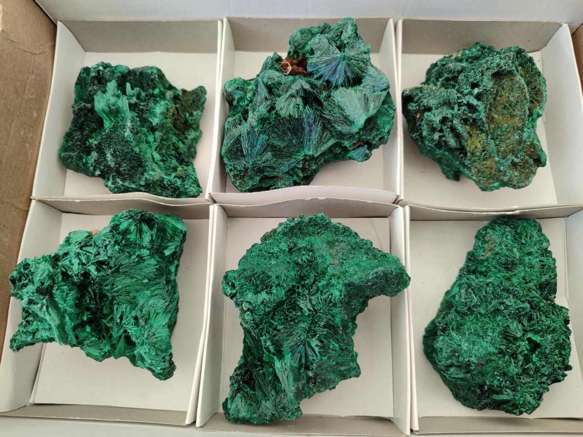 Natural Silky Malachite Specimens x 6 From Kasompe, Congo
