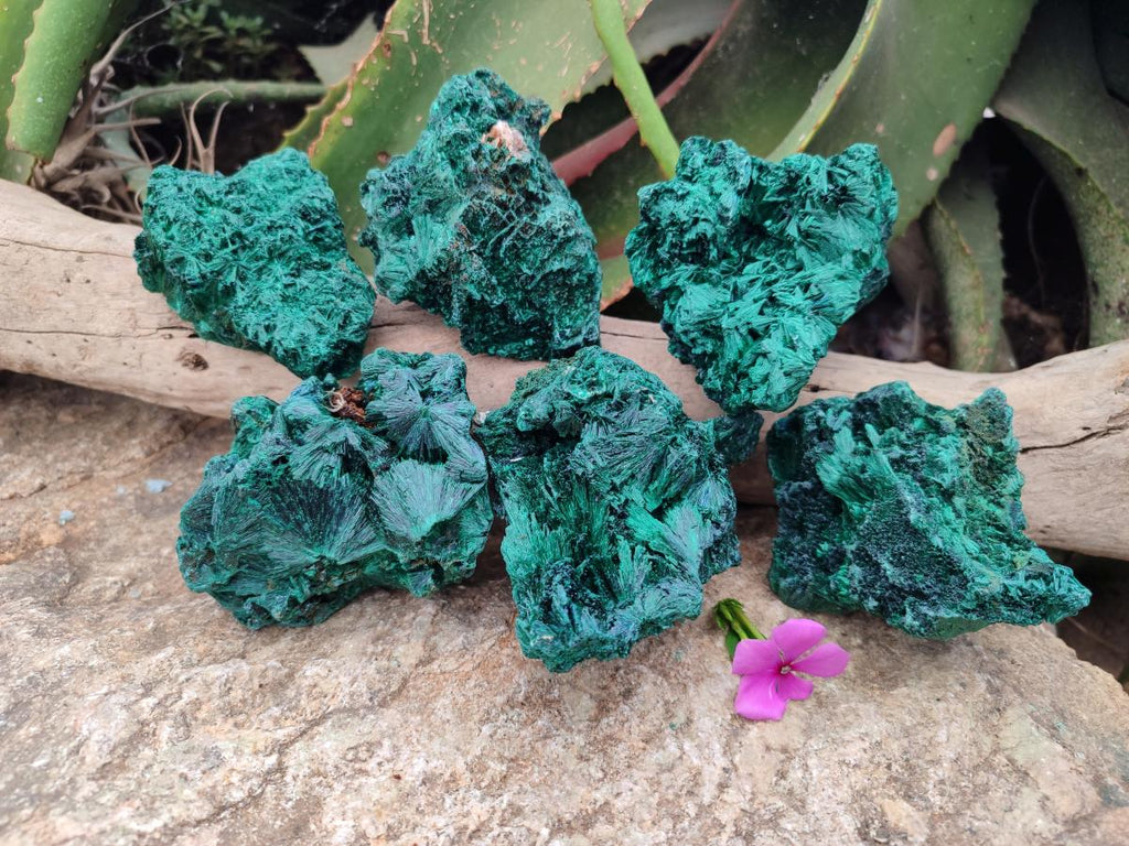 Natural Silky Malachite Specimens x 6 From Kasompe, Congo