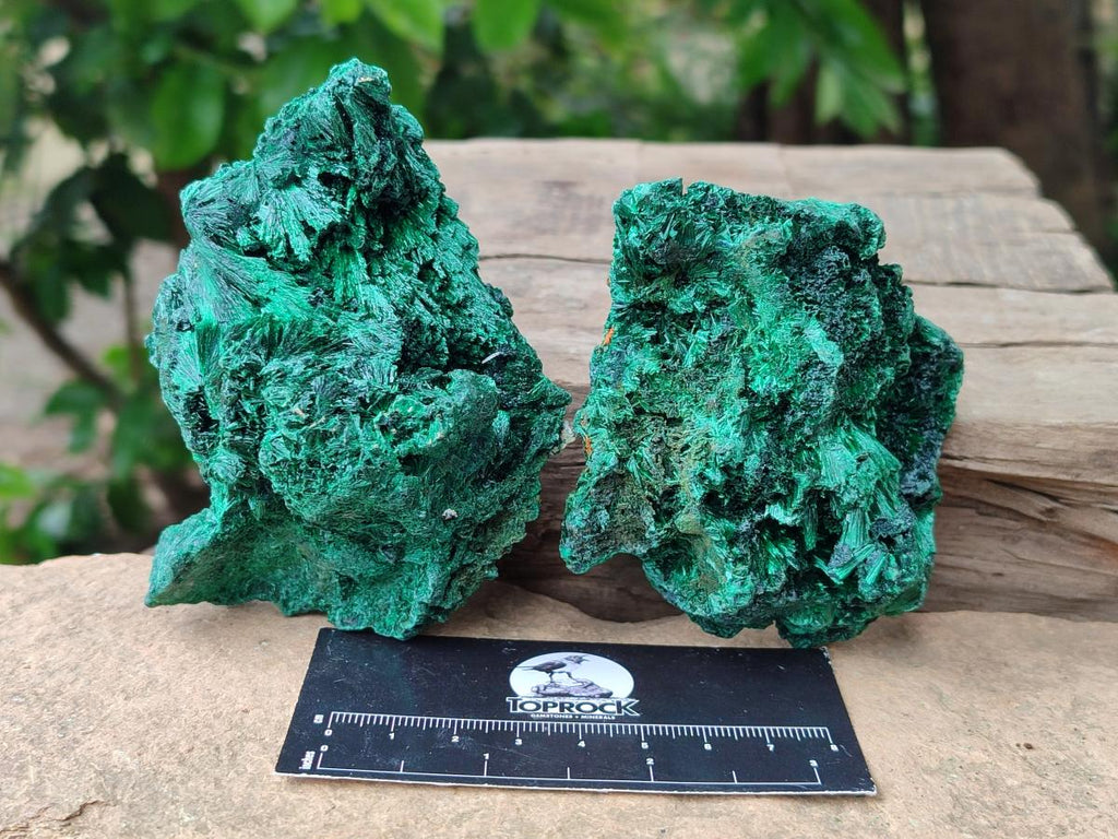 Natural Silky Malachite Specimens x 6 From Kasompe, Congo