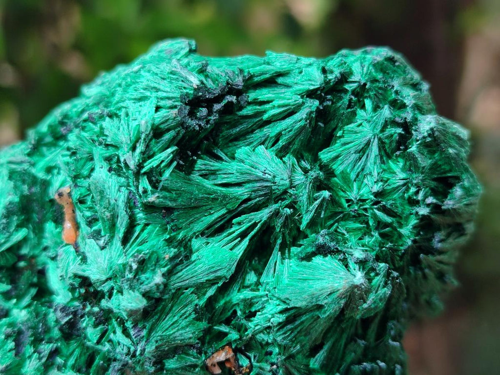 Natural Silky Malachite Specimens x 6 From Kasompe, Congo