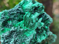 Natural Silky Malachite Specimens x 6 From Kasompe, Congo