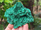 Natural Silky Malachite Specimens x 6 From Kasompe, Congo