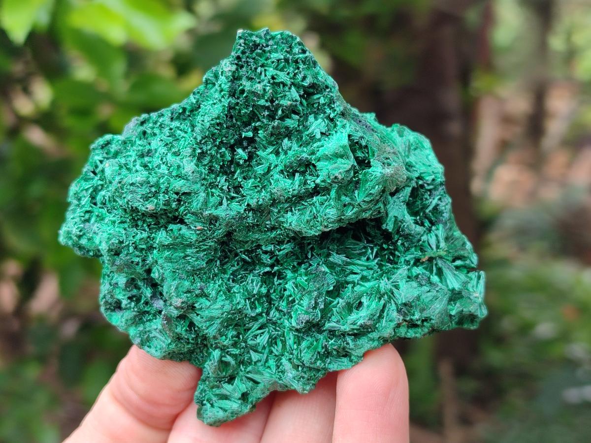 Natural Silky Malachite Specimens x 6 From Kasompe, Congo