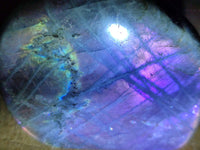 Polished Rare Purple Sunset Flash Labradorite Standing Free Forms x 6 From Tulear, Madagascar