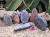 Polished Rare Purple Sunset Flash Labradorite Standing Free Forms x 6 From Tulear, Madagascar